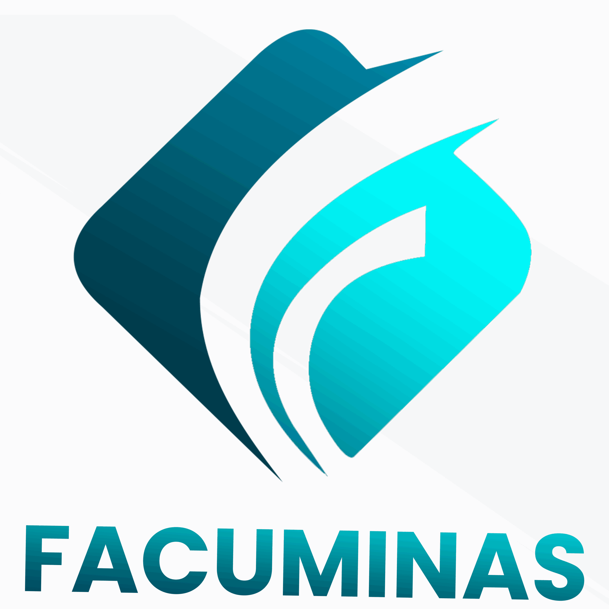 Facuminas Formare